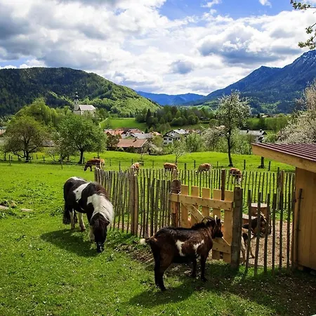 Langerbauer-hof Inkl. Chiemgaukarte