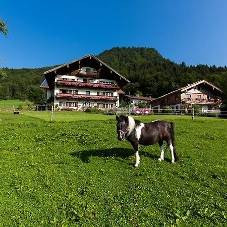 Langerbauer-hof Inkl. Chiemgaukarte Apartment