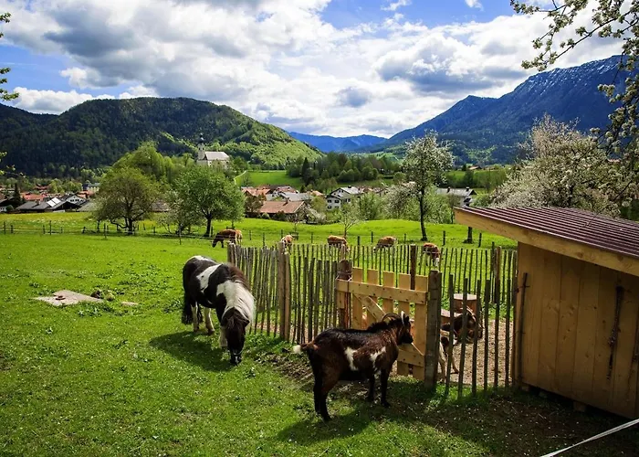 Langerbauer-hof Inkl. Chiemgaukarte